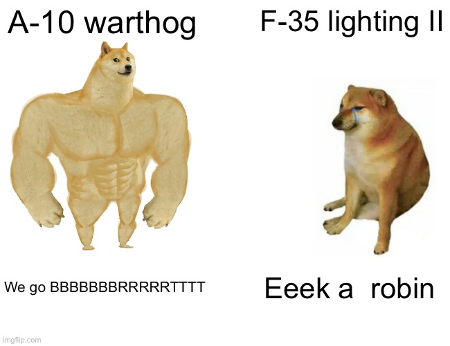 Hehe | A-10 warthog; F-35 lighting II; We go BBBBBBBRRRRRTTTT; Eeek a  robin | image tagged in memes,buff doge vs cheems | made w/ Imgflip meme maker