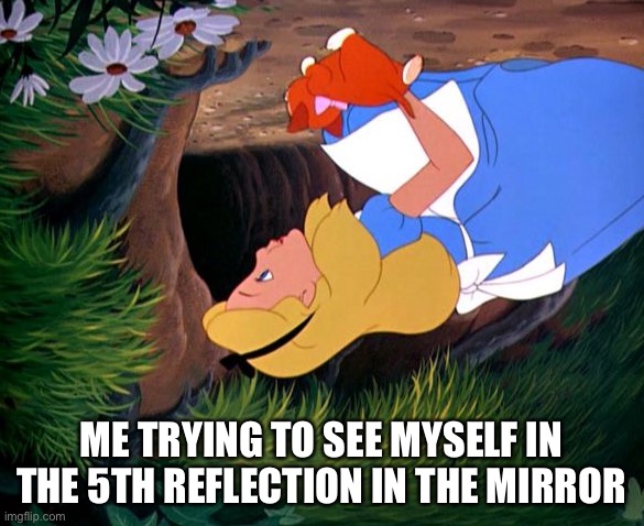 Alice Looking Down the Rabbit Hole | ME TRYING TO SEE MYSELF IN THE 5TH REFLECTION IN THE MIRROR | image tagged in alice looking down the rabbit hole | made w/ Imgflip meme maker