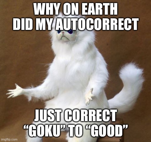 my computer doesn’t know about goku… | WHY ON EARTH DID MY AUTOCORRECT; JUST CORRECT “GOKU” TO “GOOD” | image tagged in what the heck cat | made w/ Imgflip meme maker