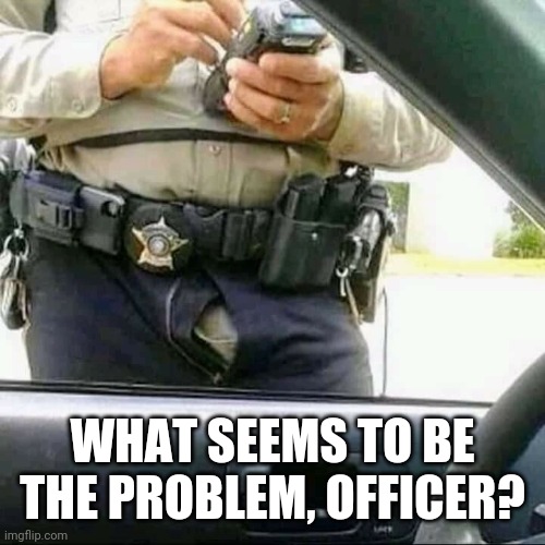 Zipper Cop | WHAT SEEMS TO BE THE PROBLEM, OFFICER? | image tagged in fun | made w/ Imgflip meme maker
