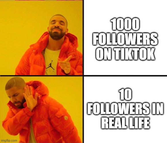 drake yes no reverse | 1000 FOLLOWERS ON TIKTOK; 10 FOLLOWERS IN REAL LIFE | image tagged in drake yes no reverse | made w/ Imgflip meme maker