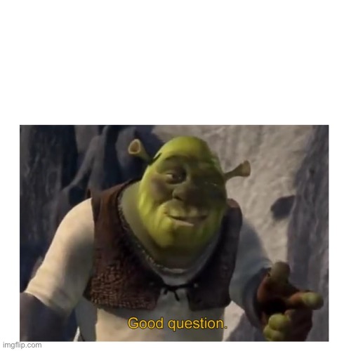 Good Question Shrek | image tagged in good question shrek | made w/ Imgflip meme maker
