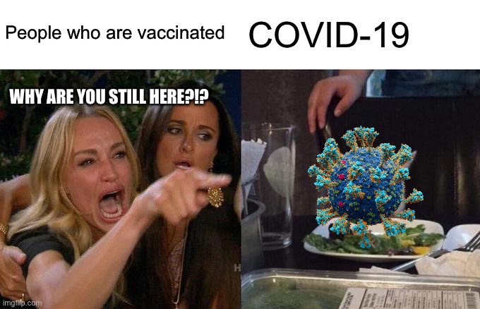 Why is COVID still here | People who are vaccinated; COVID-19; WHY ARE YOU STILL HERE?!? | image tagged in memes,woman yelling at cat | made w/ Imgflip meme maker