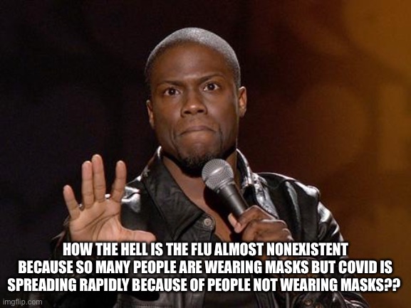 Kevin Hart |  HOW THE HELL IS THE FLU ALMOST NONEXISTENT BECAUSE SO MANY PEOPLE ARE WEARING MASKS BUT COVID IS SPREADING RAPIDLY BECAUSE OF PEOPLE NOT WEARING MASKS?? | image tagged in covid-19,kevin hart,masks,media lies,vaccines,deception | made w/ Imgflip meme maker