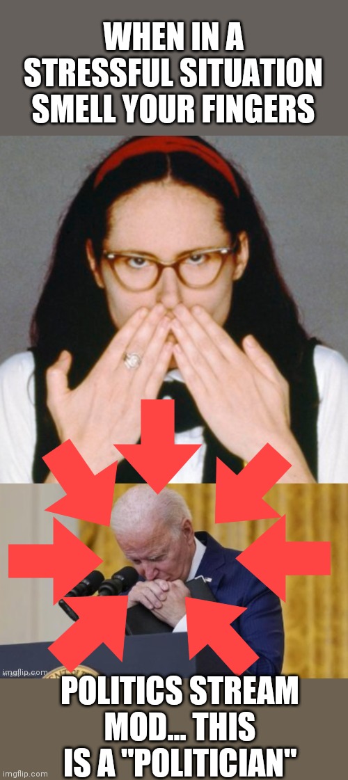 I'm done now :) | POLITICS STREAM MOD... THIS IS A "POLITICIAN" | made w/ Imgflip meme maker