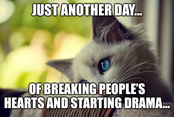 First World Problems Cat | JUST ANOTHER DAY…; OF BREAKING PEOPLE’S HEARTS AND STARTING DRAMA… | image tagged in memes,first world problems cat | made w/ Imgflip meme maker