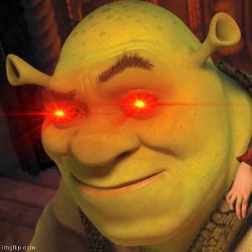 Shrek Sexy Face | image tagged in your mom | made w/ Imgflip meme maker