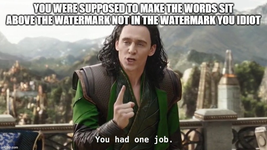 The words go above the watermark NOT IN THE WATERMARK!!! DX | YOU WERE SUPPOSED TO MAKE THE WORDS SIT ABOVE THE WATERMARK NOT IN THE WATERMARK YOU IDIOT | image tagged in you had one job,memes,idiot | made w/ Imgflip meme maker