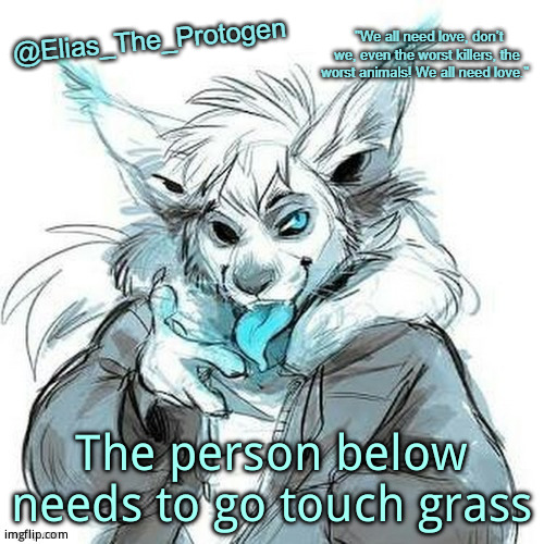 Elias_The_Protogen Furry Sans Announcement Template | The person below needs to go touch grass | image tagged in elias_the_protogen furry sans announcement template | made w/ Imgflip meme maker