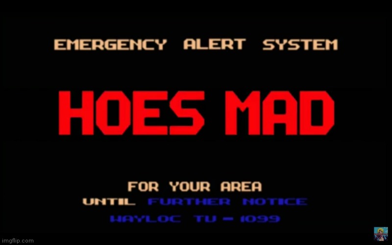 The fun stream has been interrupted by local authorities to bring you an important announcement. HOES MAD | image tagged in eas hoes mad | made w/ Imgflip meme maker