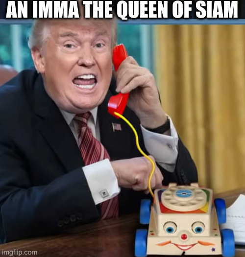 I'm the president | AN IMMA THE QUEEN OF SIAM | image tagged in i'm the president | made w/ Imgflip meme maker