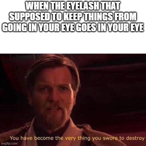 You have become the very thing you swore to destroy | WHEN THE EYELASH THAT SUPPOSED TO KEEP THINGS FROM GOING IN YOUR EYE GOES IN YOUR EYE | image tagged in you have become the very thing you swore to destroy | made w/ Imgflip meme maker