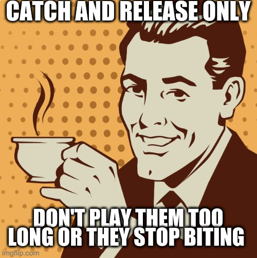 hints on proper trolling | CATCH AND RELEASE ONLY; DON'T PLAY THEM TOO LONG OR THEY STOP BITING | image tagged in mug approval | made w/ Imgflip meme maker
