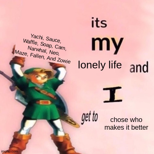 for some reason i really love these people | Yachi, Sauce, Waffle, Soap, Cam, Narwhal, Neo, Maze, Fallen, And Zowie; lonely life; chose who makes it better | image tagged in it's my ___ and i get to ____ | made w/ Imgflip meme maker