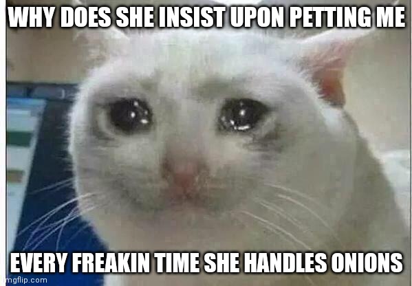 crying cat | WHY DOES SHE INSIST UPON PETTING ME; EVERY FREAKIN TIME SHE HANDLES ONIONS | image tagged in crying cat | made w/ Imgflip meme maker