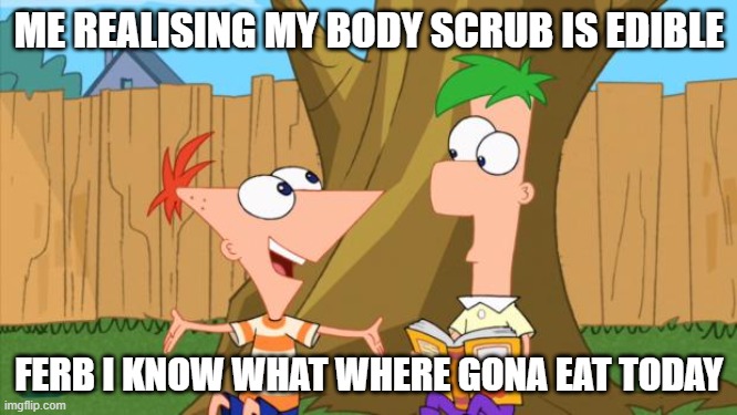 Its food grade so YOLO | ME REALISING MY BODY SCRUB IS EDIBLE; FERB I KNOW WHAT WHERE GONA EAT TODAY | image tagged in phineas ferb | made w/ Imgflip meme maker