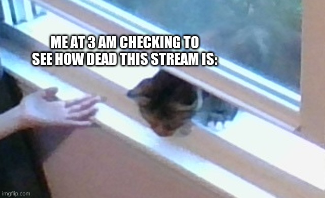 ignore Aria's hand | ME AT 3 AM CHECKING TO SEE HOW DEAD THIS STREAM IS: | made w/ Imgflip meme maker