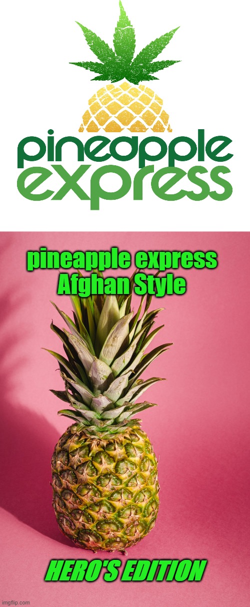 Pineapple Express - Hero's Edition | pineapple express
Afghan Style; HERO'S EDITION | image tagged in afghanistan,pineapple express,heroes | made w/ Imgflip meme maker