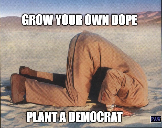 Grow Dope | image tagged in democrat,dope,grow,leftist | made w/ Imgflip meme maker