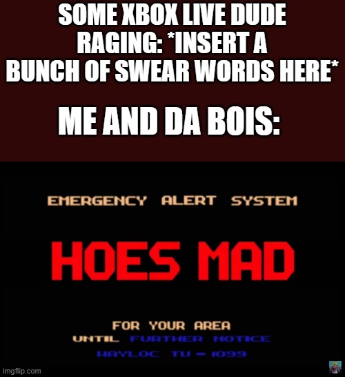 Xbox Live rage got me like: | SOME XBOX LIVE DUDE RAGING: *INSERT A BUNCH OF SWEAR WORDS HERE*; ME AND DA BOIS: | image tagged in eas hoes mad,xbox live,rage | made w/ Imgflip meme maker
