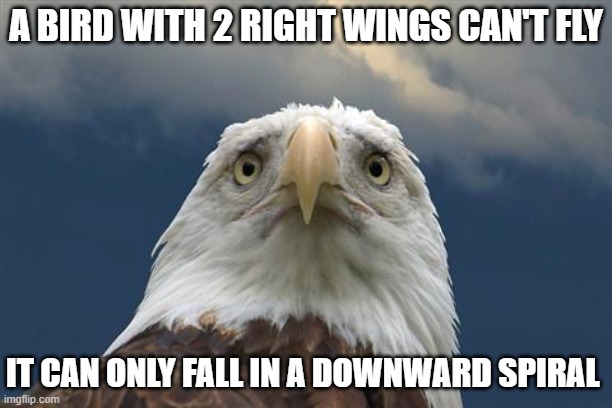 Sad American Eagle | A BIRD WITH 2 RIGHT WINGS CAN'T FLY; IT CAN ONLY FALL IN A DOWNWARD SPIRAL | image tagged in sad american eagle | made w/ Imgflip meme maker