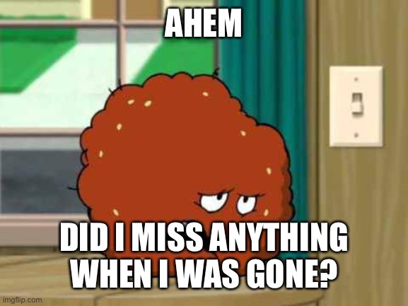 meatwad | AHEM; DID I MISS ANYTHING WHEN I WAS GONE? | image tagged in meatwad | made w/ Imgflip meme maker
