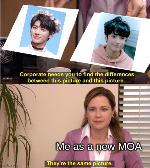 They're The Same Picture Meme | Me as a new MOA | image tagged in memes,they're the same picture | made w/ Imgflip meme maker