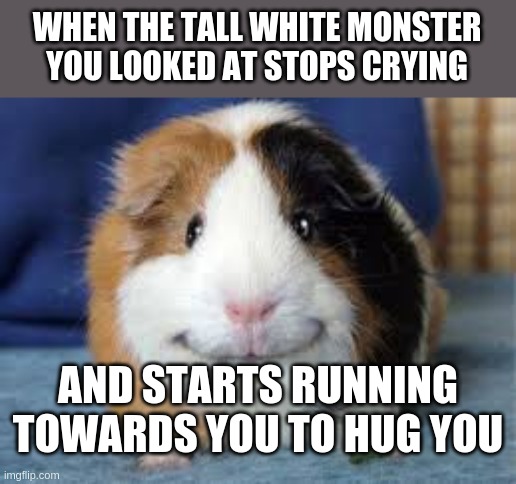 (O_O) | WHEN THE TALL WHITE MONSTER YOU LOOKED AT STOPS CRYING; AND STARTS RUNNING TOWARDS YOU TO HUG YOU | image tagged in happy guinea pig | made w/ Imgflip meme maker