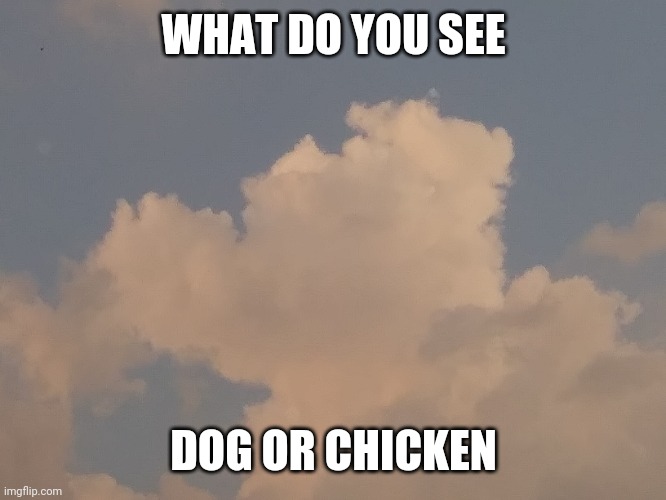 Dog or chicken? | WHAT DO YOU SEE; DOG OR CHICKEN | image tagged in memes,gifs,funny,funny memes,clouds,cloud | made w/ Imgflip meme maker