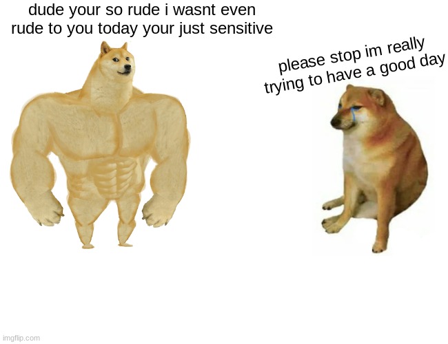 aha no my feelings werent hurt or anything | dude your so rude i wasnt even rude to you today your just sensitive; please stop im really trying to have a good day | image tagged in memes,buff doge vs cheems | made w/ Imgflip meme maker