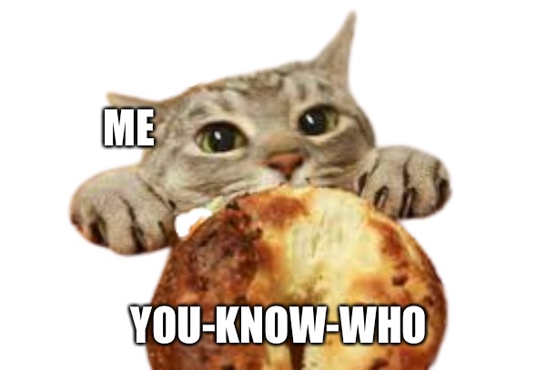 Flowey want bagel | ME; YOU-KNOW-WHO | image tagged in cat want bagel | made w/ Imgflip meme maker