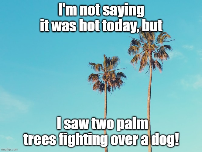 I'm not saying it was hot today, | I'm not saying it was hot today, but; I saw two palm trees fighting over a dog! | image tagged in i'm not saying it was hot today | made w/ Imgflip meme maker