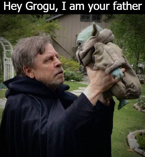 Hey Grogu, I am your father | image tagged in grogu | made w/ Imgflip meme maker