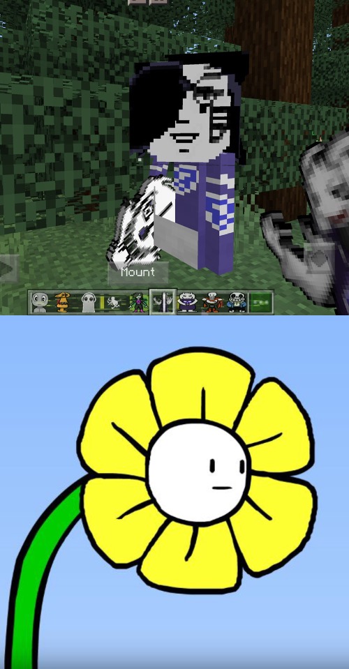DO NOT USE THE UNDERTALE MOD IN MINECRAFT | image tagged in wut flowey | made w/ Imgflip meme maker