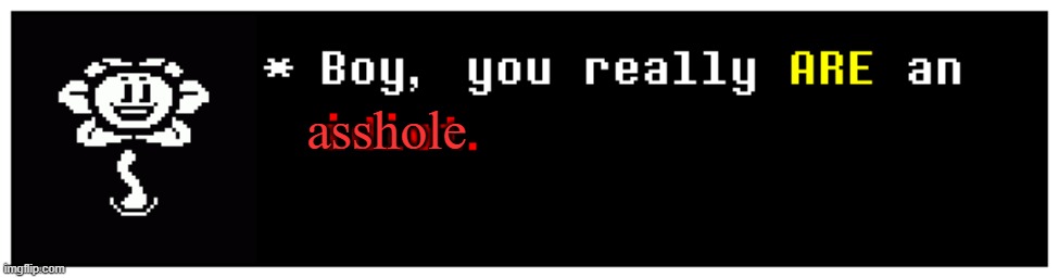 Boy, you really are an idiot. | asshole | image tagged in boy you really are an idiot | made w/ Imgflip meme maker