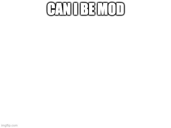 it said 1 mod spot open | CAN I BE MOD | image tagged in blank white template | made w/ Imgflip meme maker