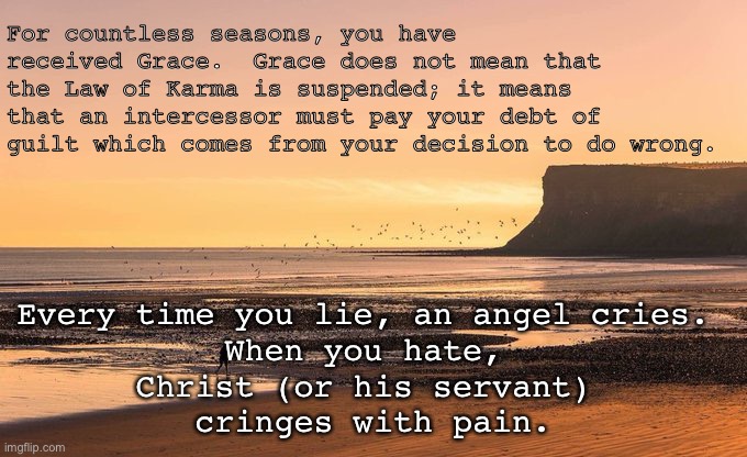 The high cost of grace. | For countless seasons, you have received Grace.  Grace does not mean that the Law of Karma is suspended; it means that an intercessor must pay your debt of guilt which comes from your decision to do wrong. Every time you lie, an angel cries. 
When you hate, 
Christ (or his servant) 
cringes with pain. | image tagged in what grace means | made w/ Imgflip meme maker