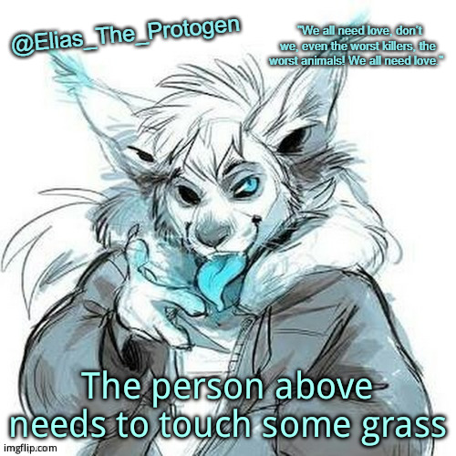 Elias_The_Protogen Furry Sans Announcement Template | The person above needs to touch some grass | image tagged in elias_the_protogen furry sans announcement template | made w/ Imgflip meme maker