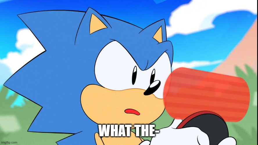 Sonic What Am I Reading | WHAT THE- | image tagged in sonic what am i reading | made w/ Imgflip meme maker