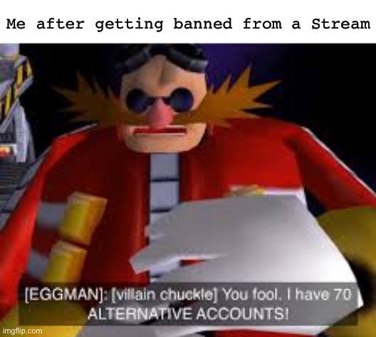 HAHAHA | Me after getting banned from a Stream | image tagged in eggman alternative accounts | made w/ Imgflip meme maker