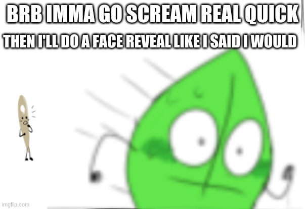 AAAAAAAAAAAAAAAAAAAAAAAA | BRB IMMA GO SCREAM REAL QUICK; THEN I'LL DO A FACE REVEAL LIKE I SAID I WOULD | image tagged in leafy runs away single panel | made w/ Imgflip meme maker