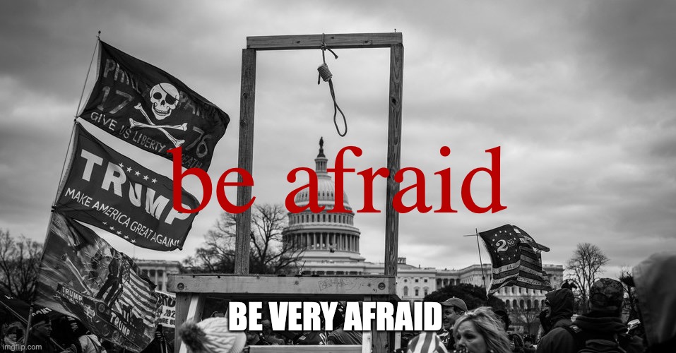 Capitol Hill riot gallows | be afraid; BE VERY AFRAID | image tagged in capitol hill riot gallows | made w/ Imgflip meme maker