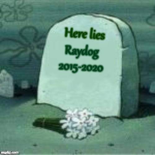 Here Lies X | Here lies; Raydog
2015-2020 | image tagged in here lies x | made w/ Imgflip meme maker