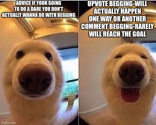 Thank you for coming to my Ted talk | ADVICE IF YOUR GOING TO DO A DARE YOU DON’T ACTUALLY WANNA DO WITH BEGGING; UPVOTE BEGGING-WILL ACTUALLY HAPPEN ONE WAY OR ANOTHER
COMMENT BEGGING-RARELY WILL REACH THE GOAL | image tagged in wholesome doggo | made w/ Imgflip meme maker