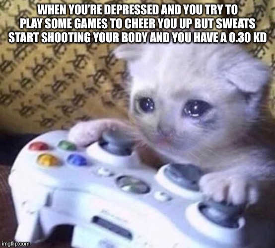 When the only thing that makes you happy makes you sad… | image tagged in sad gamer cat,depression,not really | made w/ Imgflip meme maker