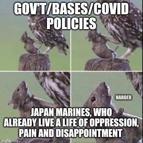 Owl choking mouse harder | GOV'T/BASES/COVID POLICIES; JAPAN MARINES, WHO ALREADY LIVE A LIFE OF OPPRESSION, PAIN AND DISAPPOINTMENT | image tagged in owl choking mouse harder | made w/ Imgflip meme maker