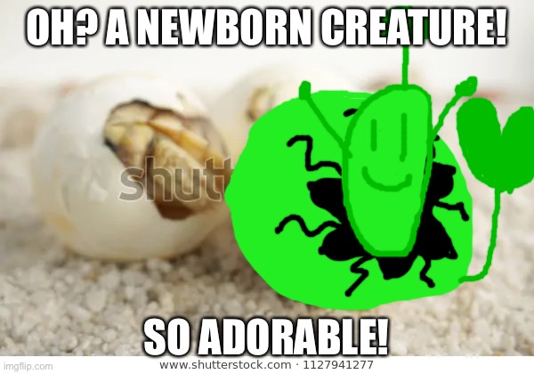 screaming hatchling | OH? A NEWBORN CREATURE! SO ADORABLE! | image tagged in screaming hatchling | made w/ Imgflip meme maker