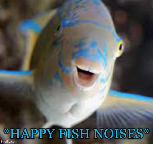 Happy fishy | image tagged in happy fish noises,my custom templates | made w/ Imgflip meme maker
