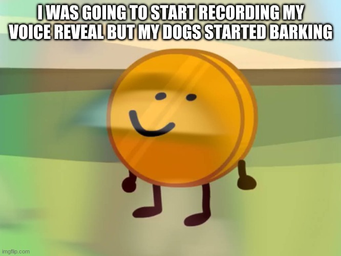 AAAAAAAAAAAAAAAAAAAAAAAA | I WAS GOING TO START RECORDING MY VOICE REVEAL BUT MY DOGS STARTED BARKING | image tagged in coiny is not okay | made w/ Imgflip meme maker