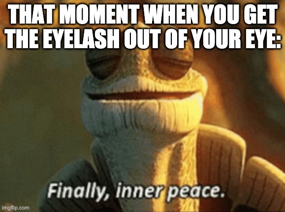 Peace | THAT MOMENT WHEN YOU GET THE EYELASH OUT OF YOUR EYE: | image tagged in finally inner peace | made w/ Imgflip meme maker